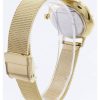 Refurbished Skagen Anita Gold Tone Mesh Bracelet CrystTodosized SKW2150 Womens Watch